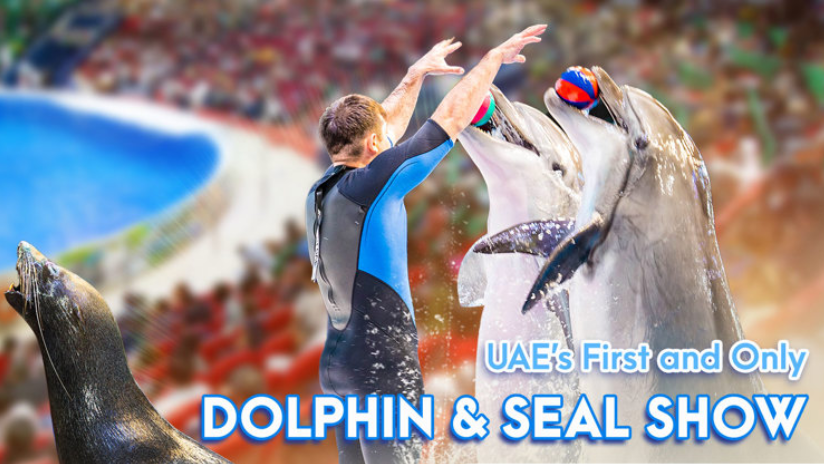 Get 25% off our dolphin & seal show tickets when you show your